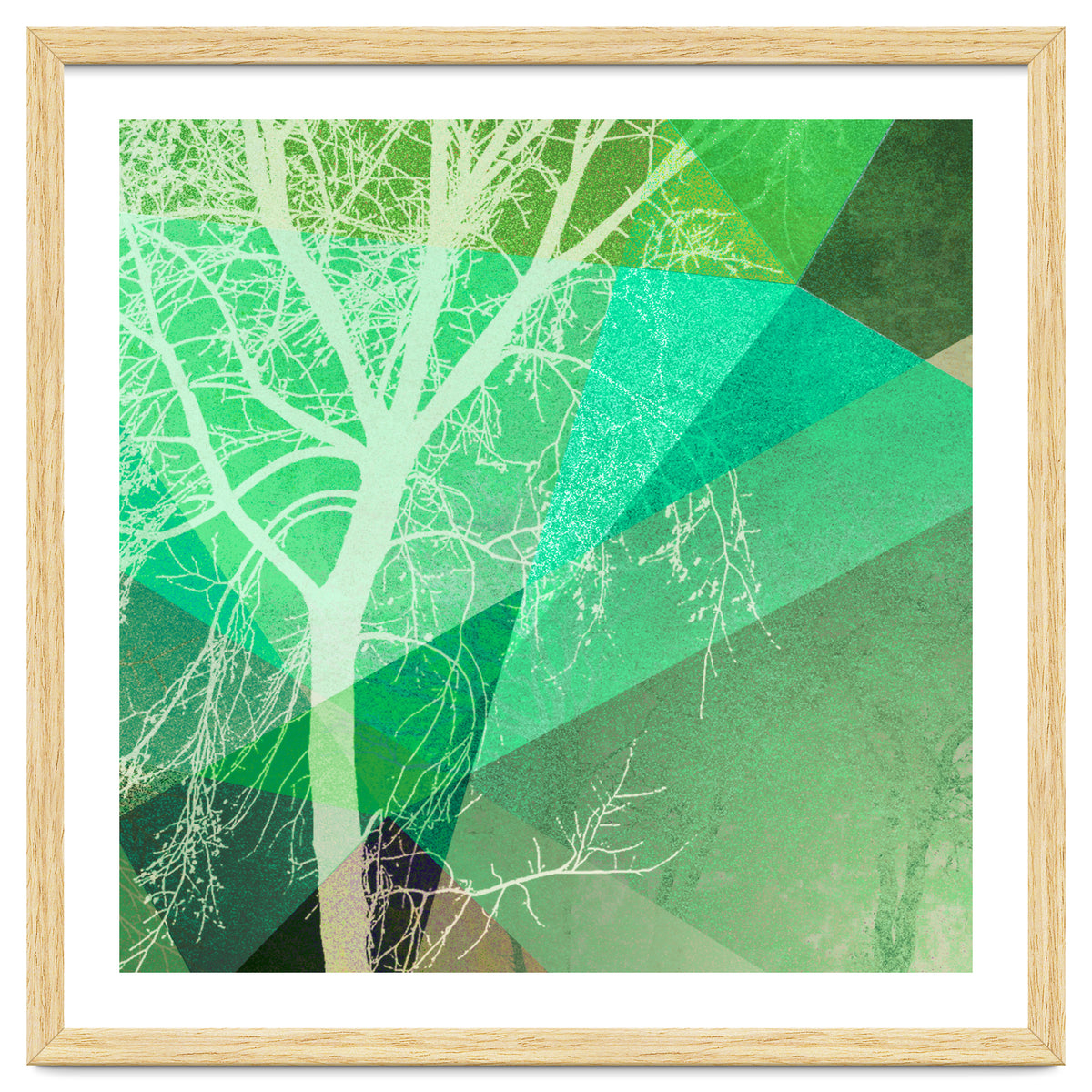 P22-B3 Trees And Triangles