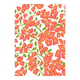 Bougainvillea Blush (Print Only) thumbnail