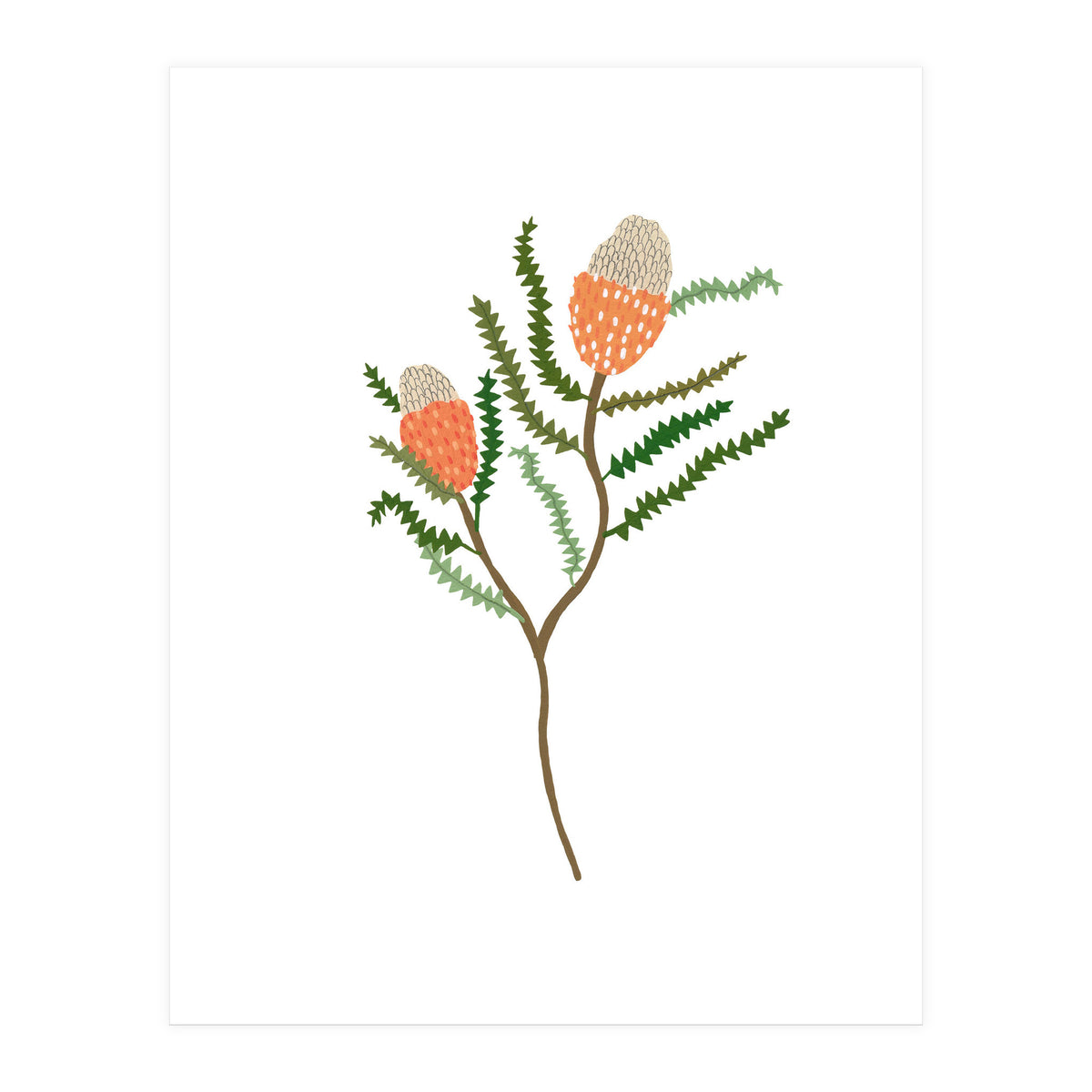 Banksia Flowers (Print Only)