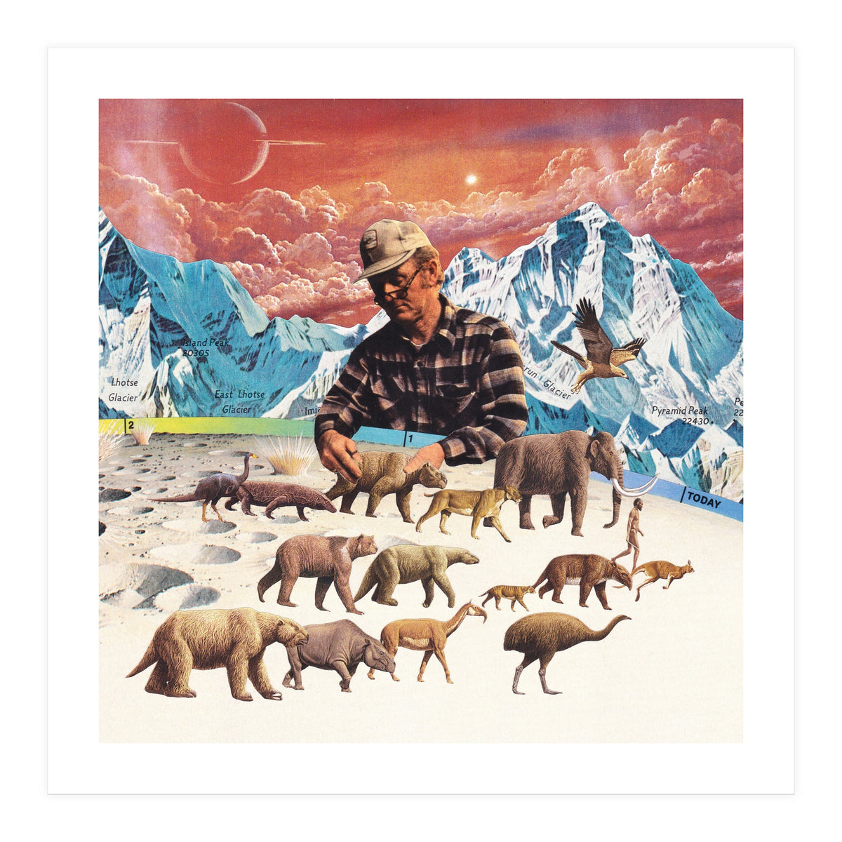 Evolution (Print Only)