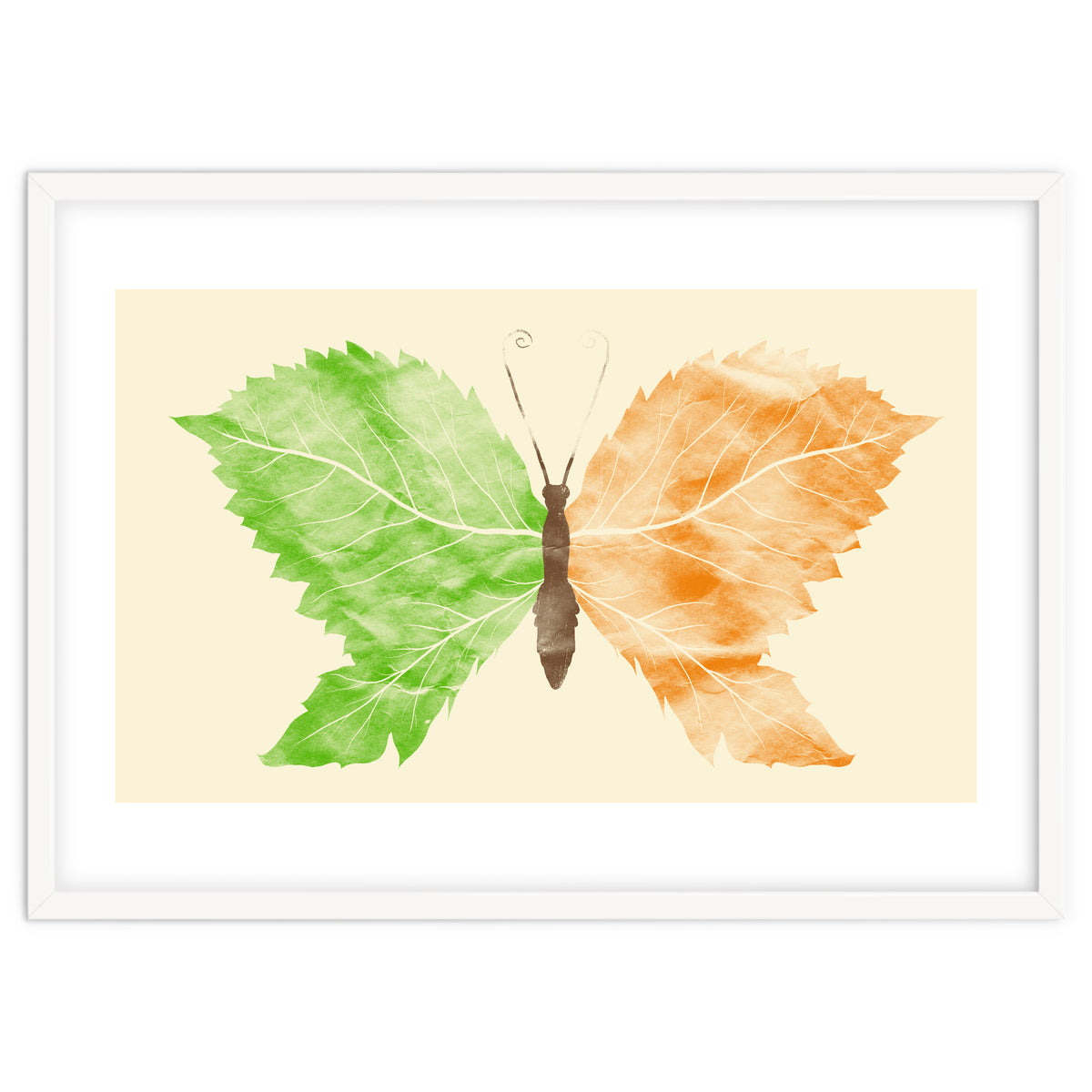 Seasons Change Time Flies