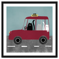 Cat 86: Cat taxi