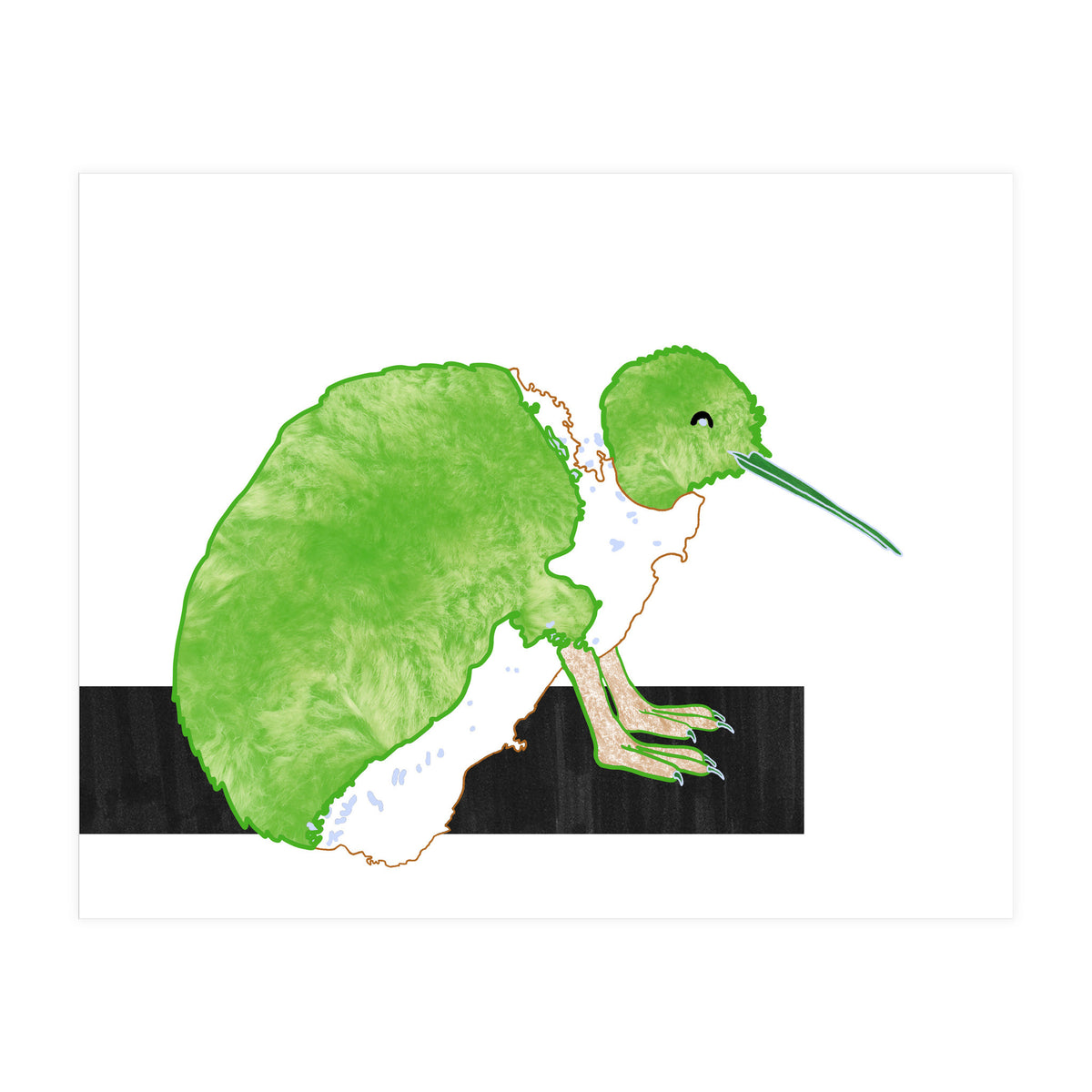 New Zealand Kiwi (Print Only)