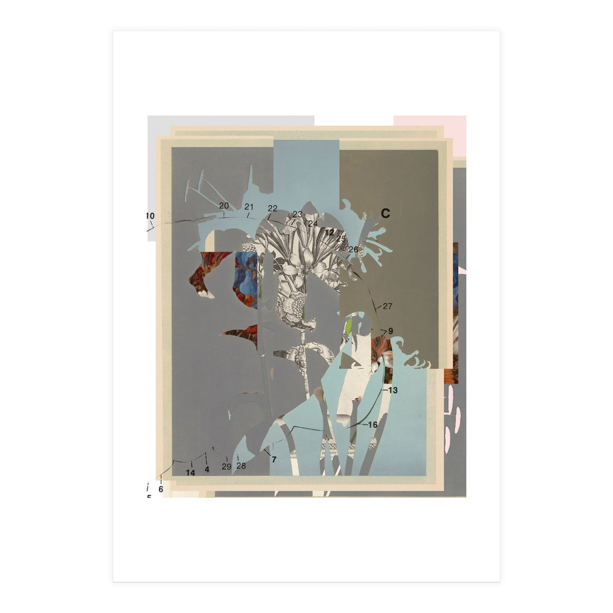 The First Plant · D (Print Only)