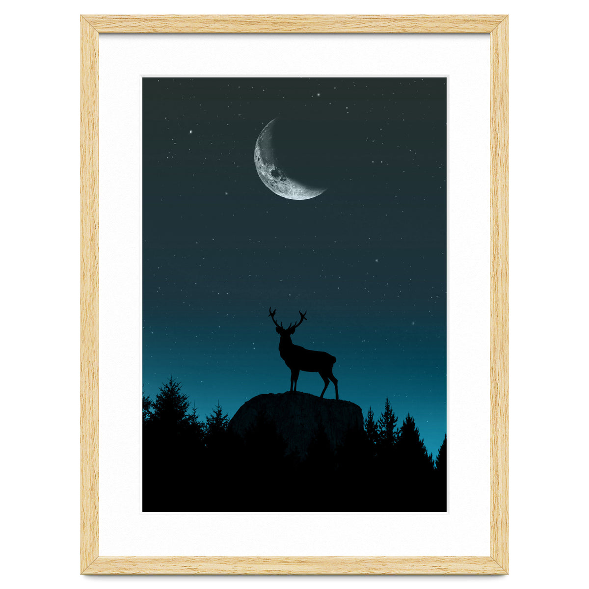 Wild Nature - Nocturne