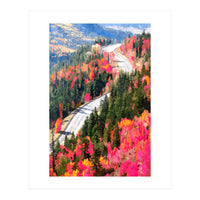 Valley of Pink Trees | Fantasy Pop of Color Forest Nature | Jungle Adventure Road Trip Pine (Print Only)