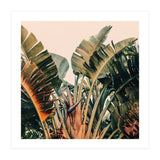 Hue (Print Only) thumbnail