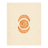 Botanical moon shapes (Print Only) thumbnail