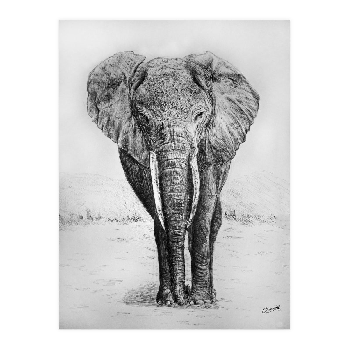 The Long Journey (Print Only)