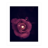 Red Sparkling Rose (Print Only) thumbnail