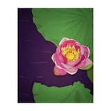 Water lily (Print Only) thumbnail