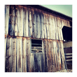 8 D13 Daf8 F8 F5 4621 A326 Cf1 B8 E3 C8084 (Print Only) thumbnail