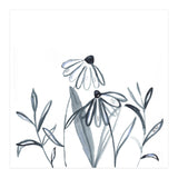 Meadow Line Work Square (Print Only) thumbnail
