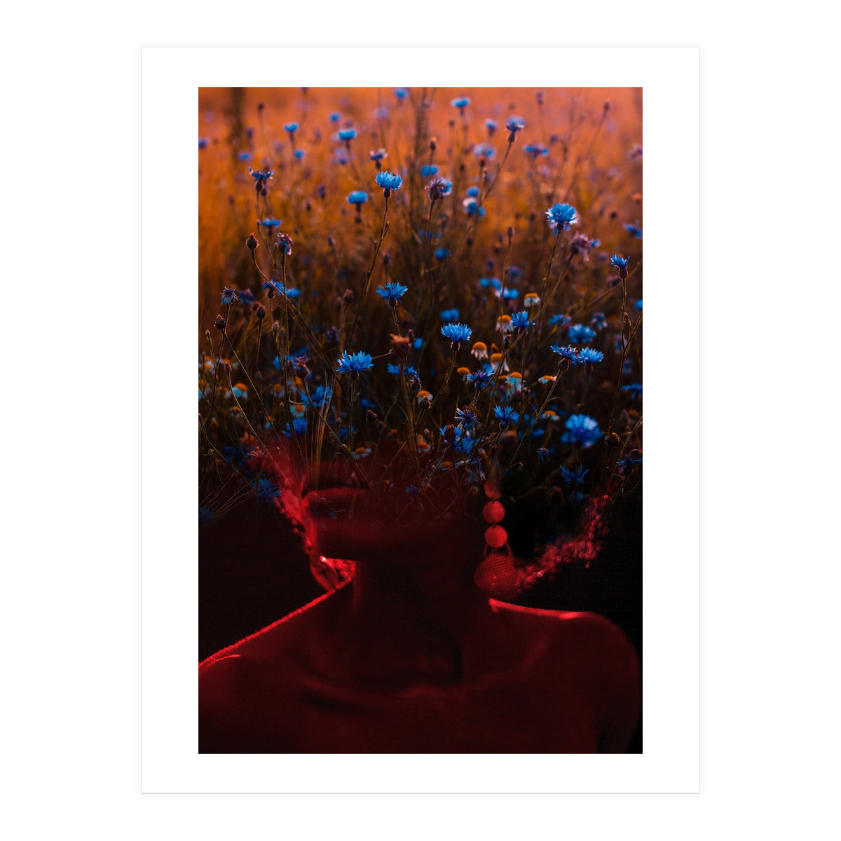 Dream Division 10 (Print Only)