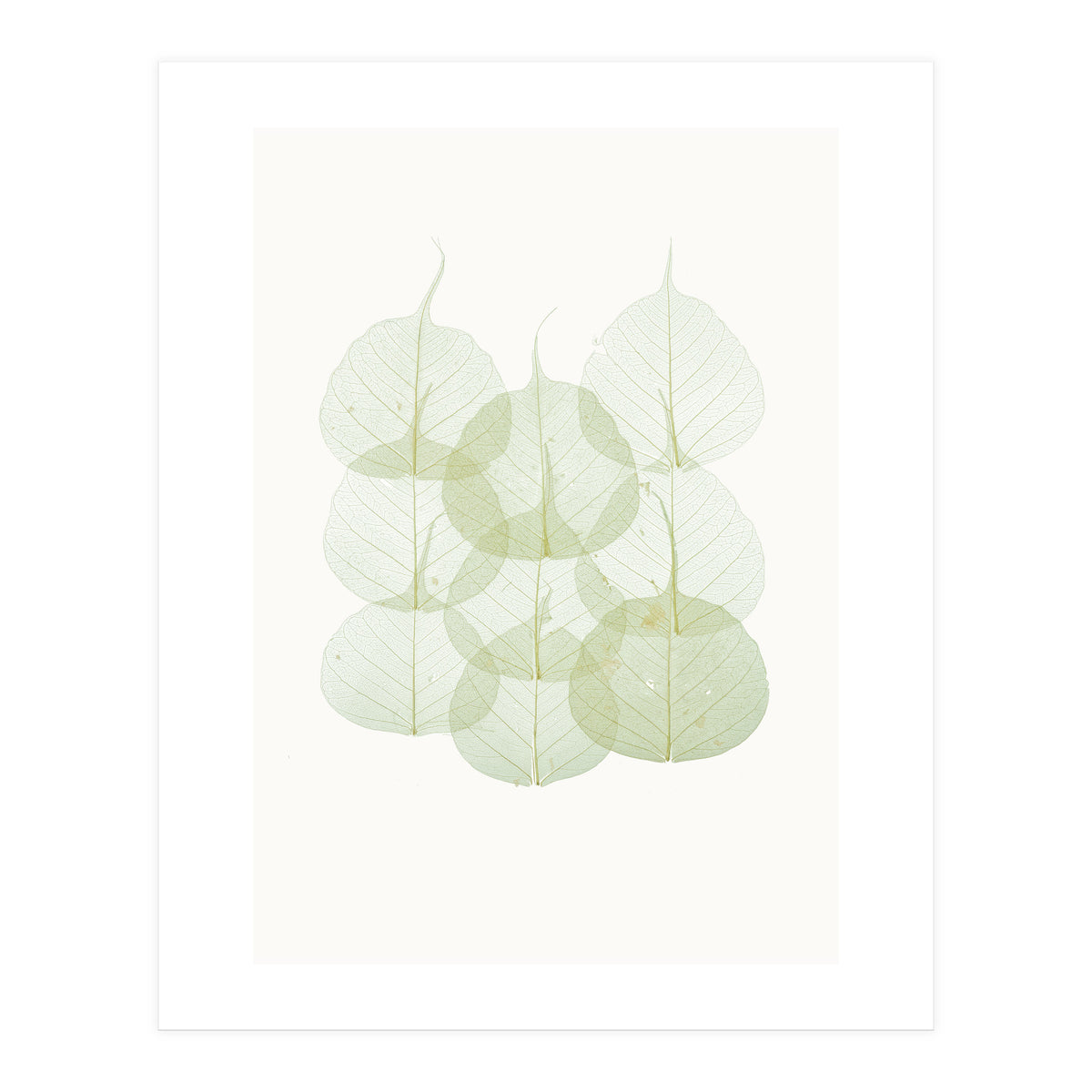 Cc Leaves 02 (Print Only)