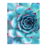 68a (Print Only) thumbnail
