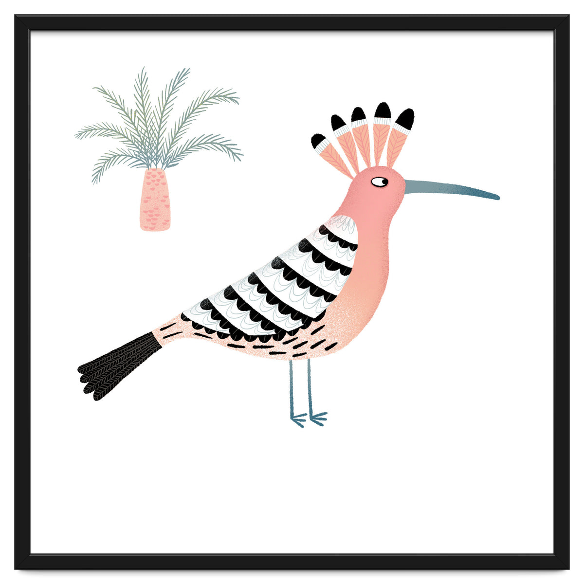 Hoopoe