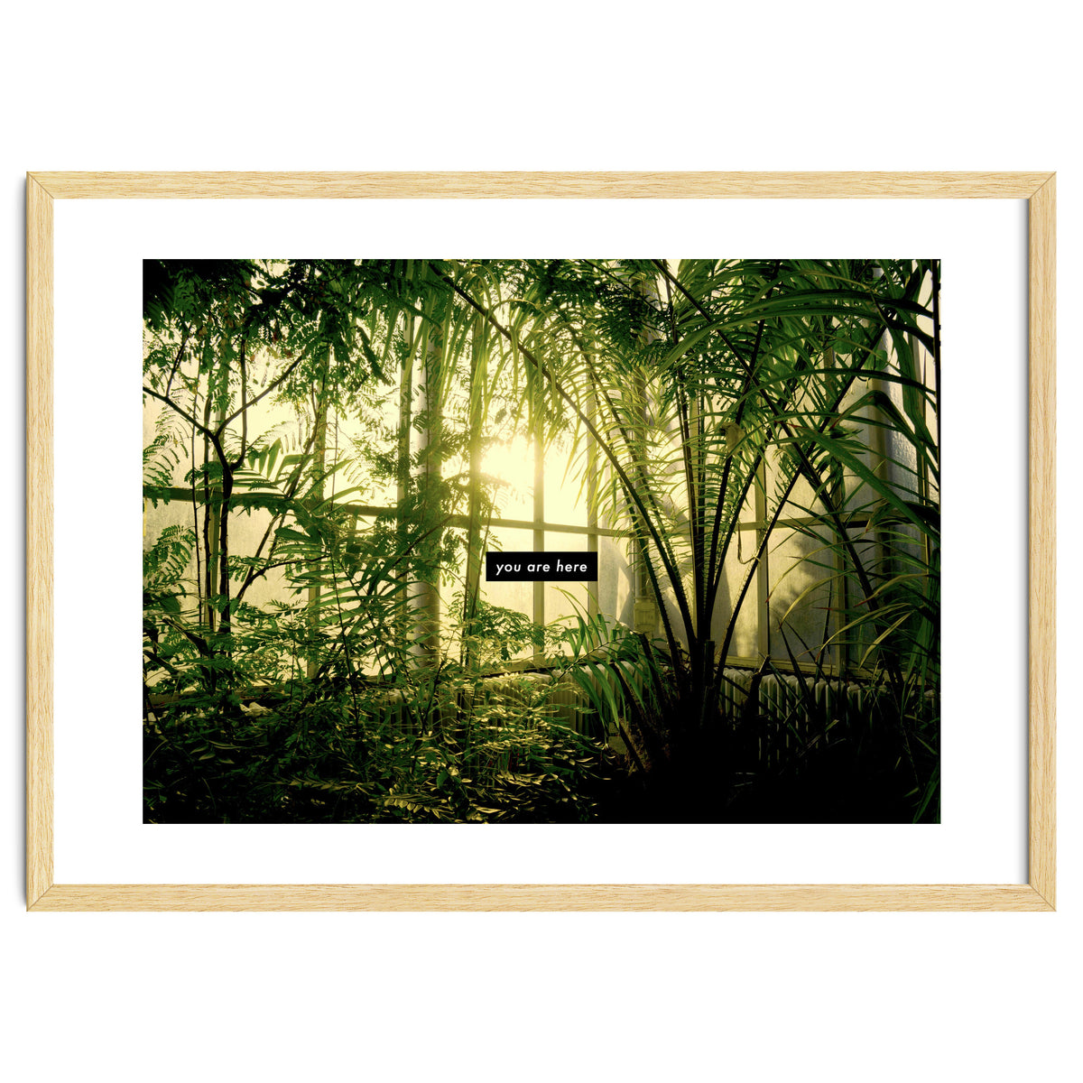 you are here - Nature Photography -