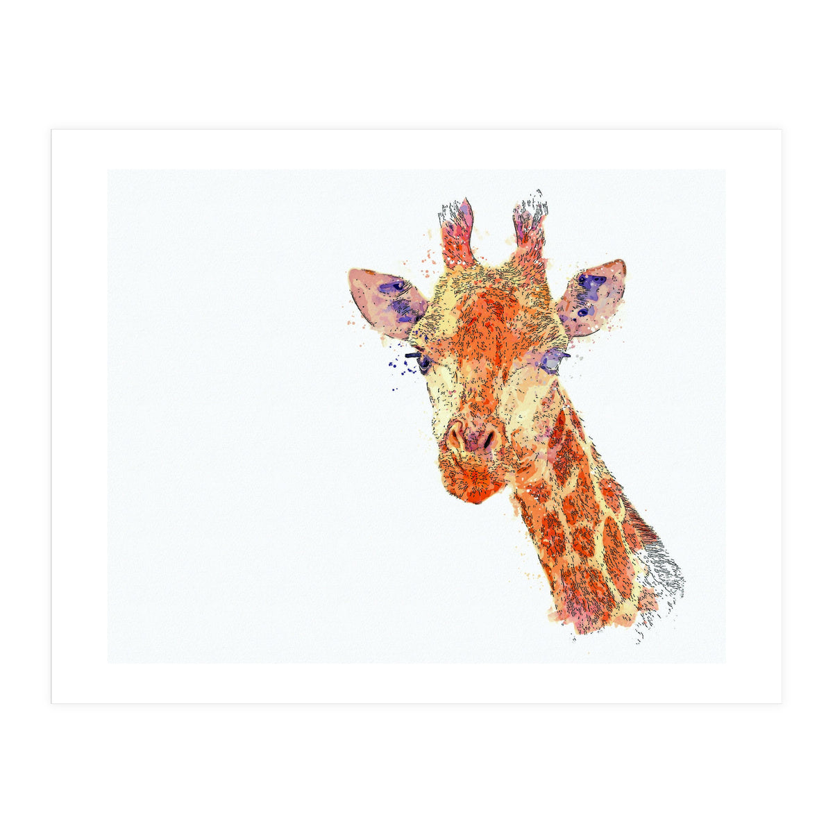 Grayson (Print Only)