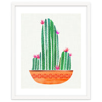 Tiny Cactus Blossoms