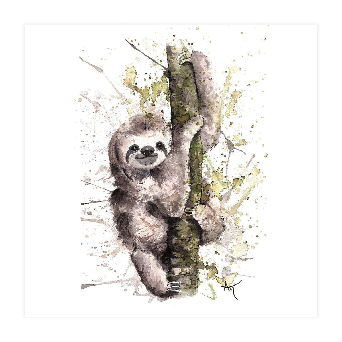 Sloth - Wildlife Collection (Print Only)