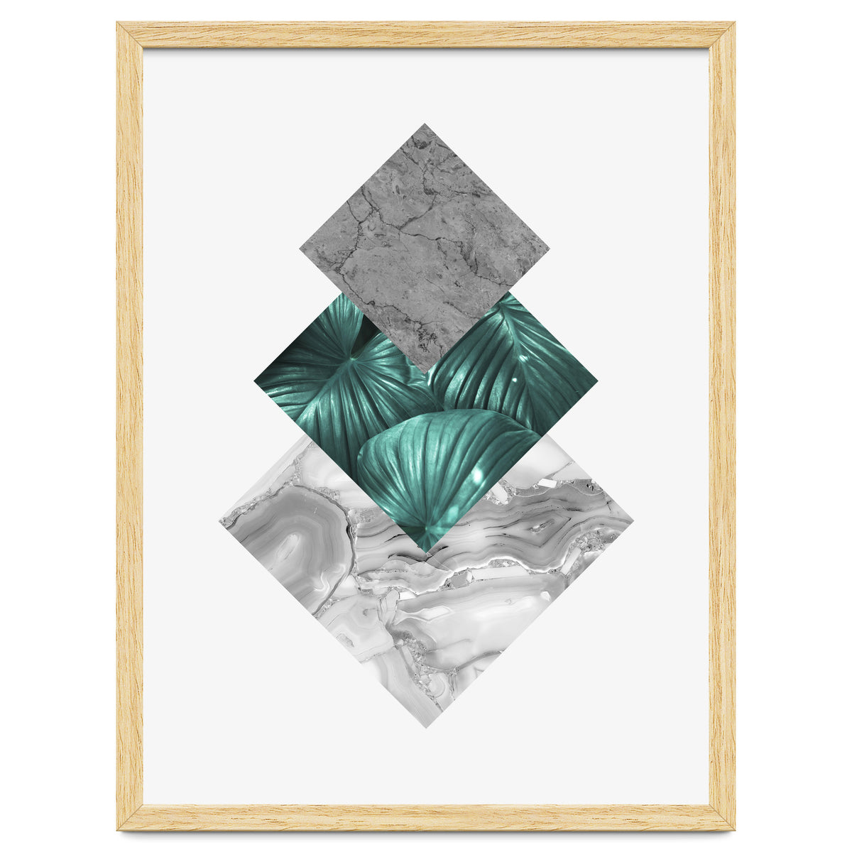 Botanical and geometric V