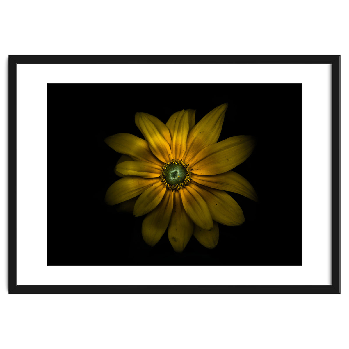 Backyard Flowers No 34 Color Version