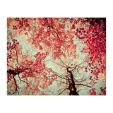 Scarlet (Print Only) thumbnail