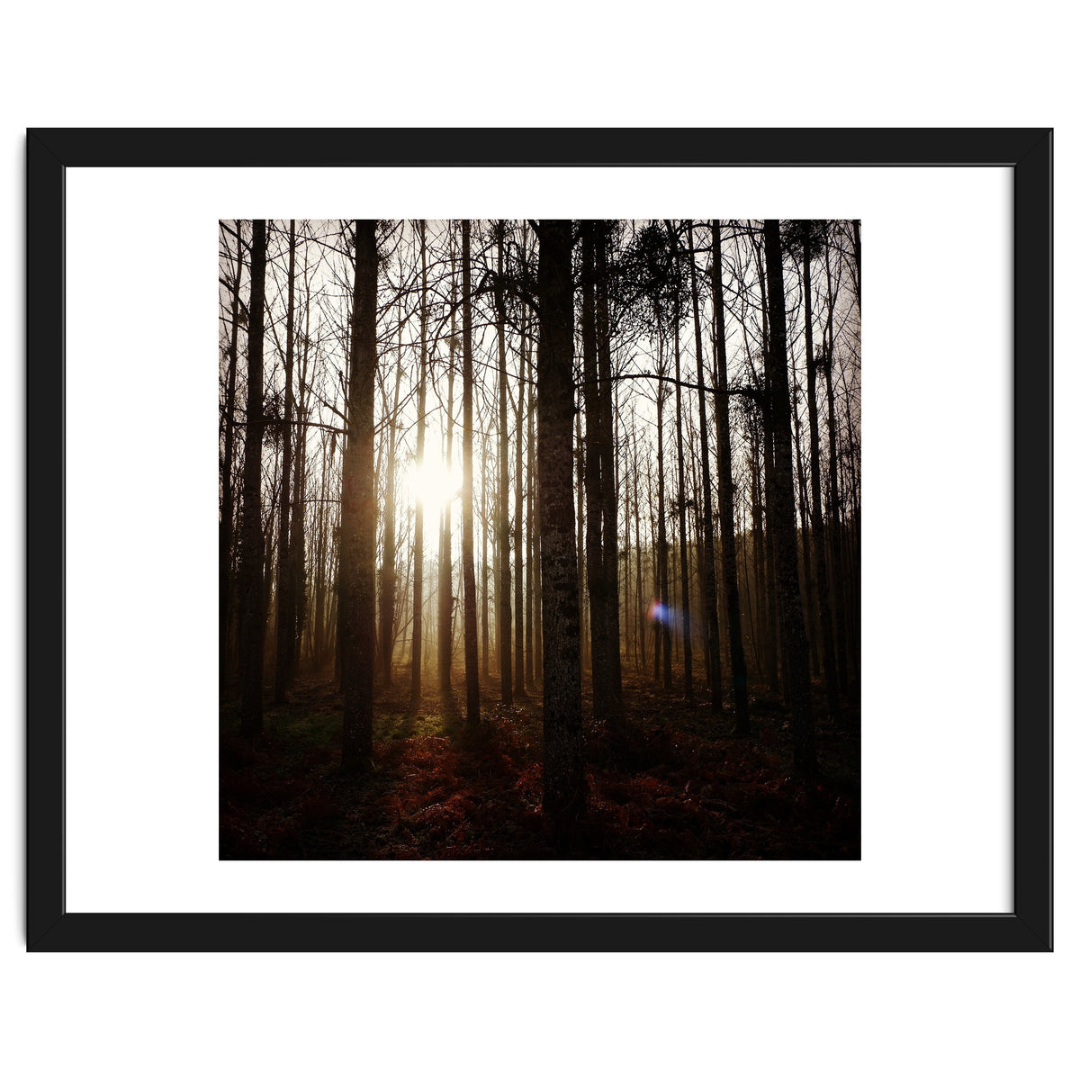 D3 A0 Cf3 E 6509 400 C 926 D 905230 D93 F61