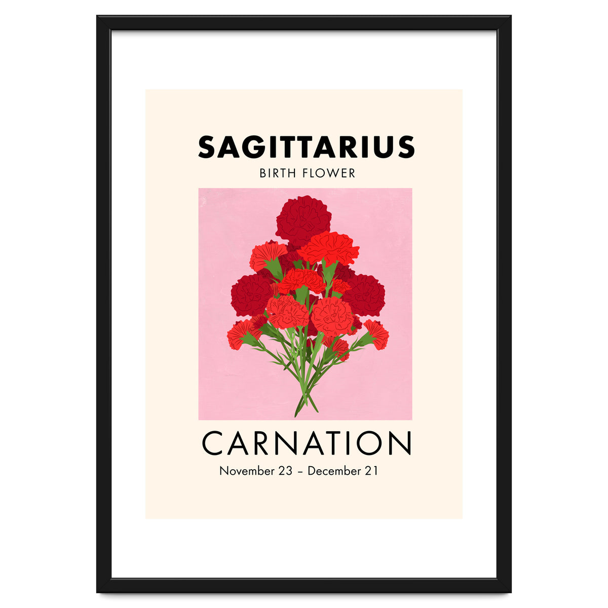 Sagittarius Birth Flower Carnation