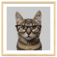 Cat Geek
