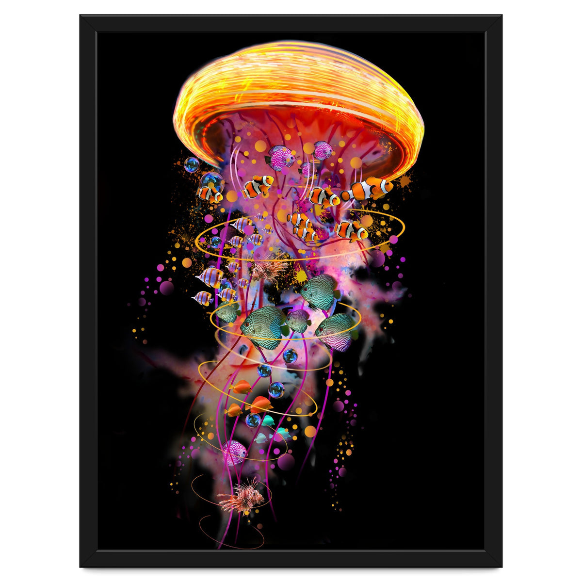 Jelly Fish Ride Summer2018 Dbh