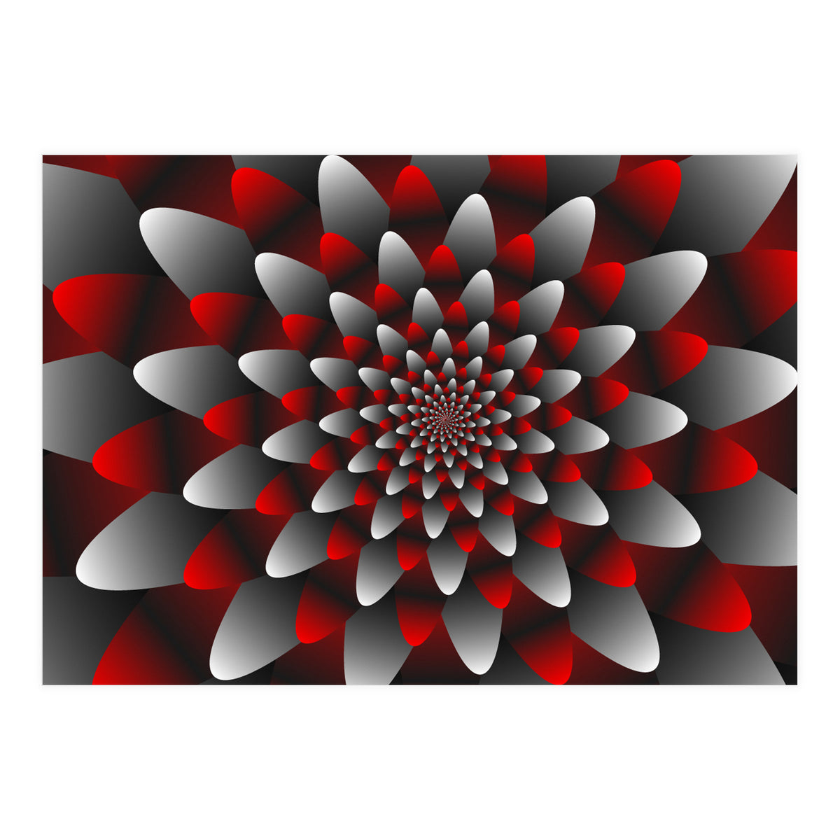 Beautiful Modern Flower Graphics (Print Only)