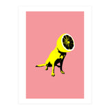 Lemon (Print Only) thumbnail