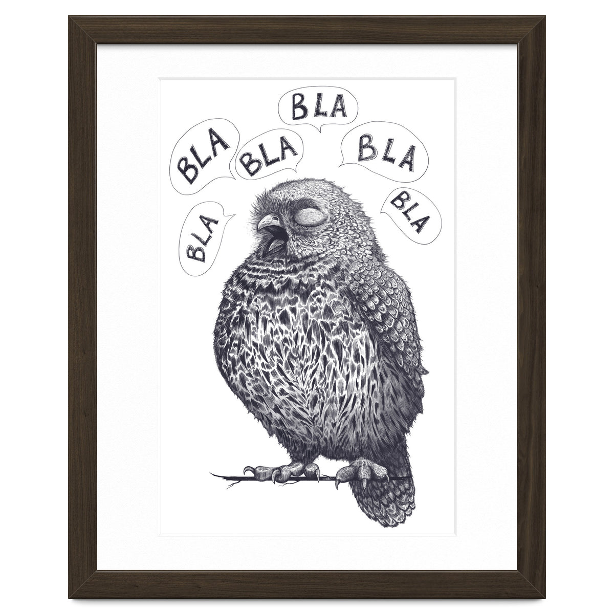 Owl Bla Bla Bla