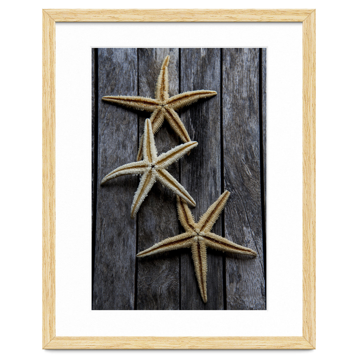 Starfishes in wooden