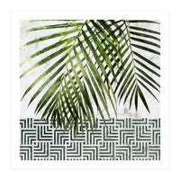 Palm Leaves On White Marble And Tiles (Print Only)