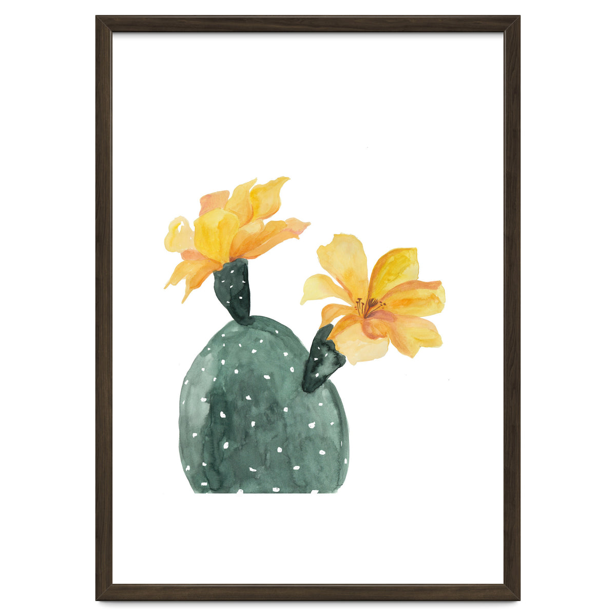 Botanical Illustration Yellow Cactus Flowers