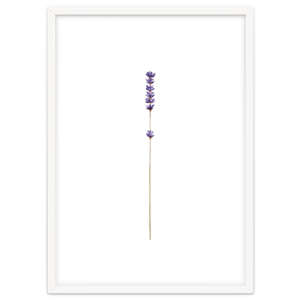 Lavender twig