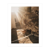 Milos VI (Print Only) thumbnail