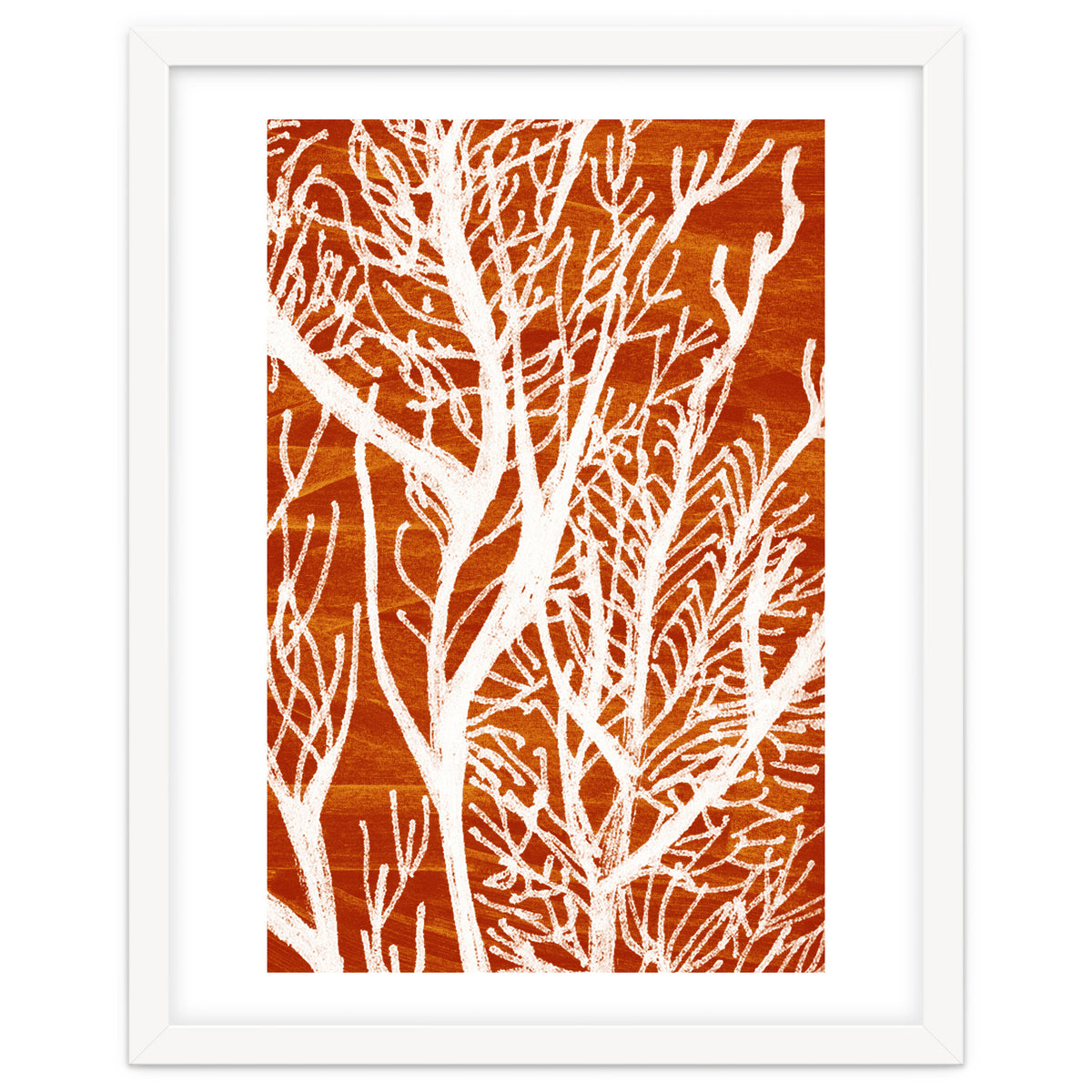 Desert Colours Collection 2