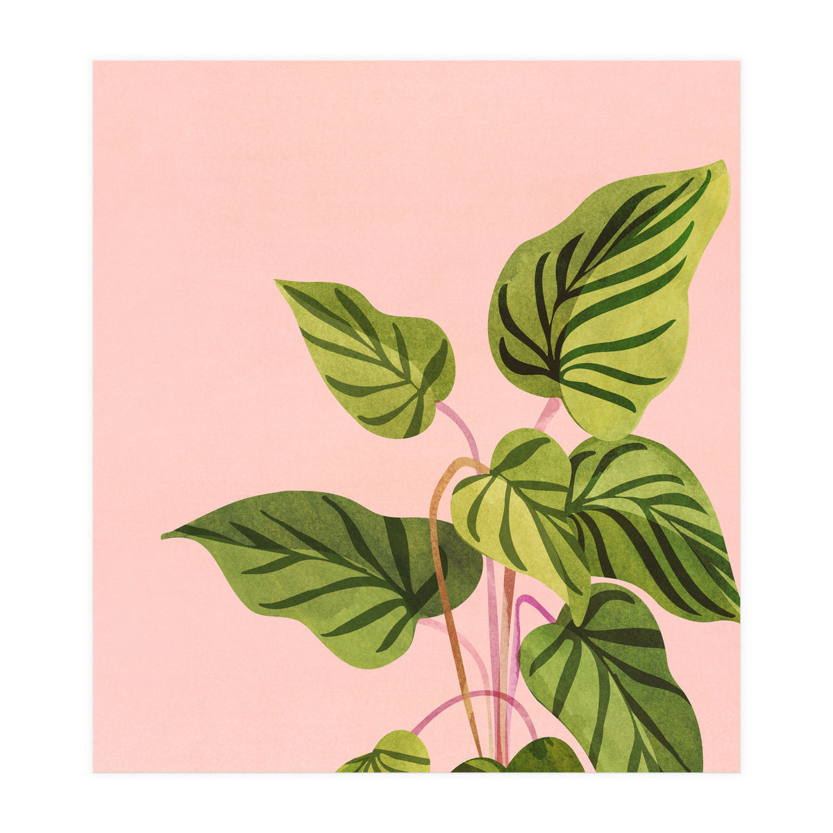 Tropical Rising (Print Only)