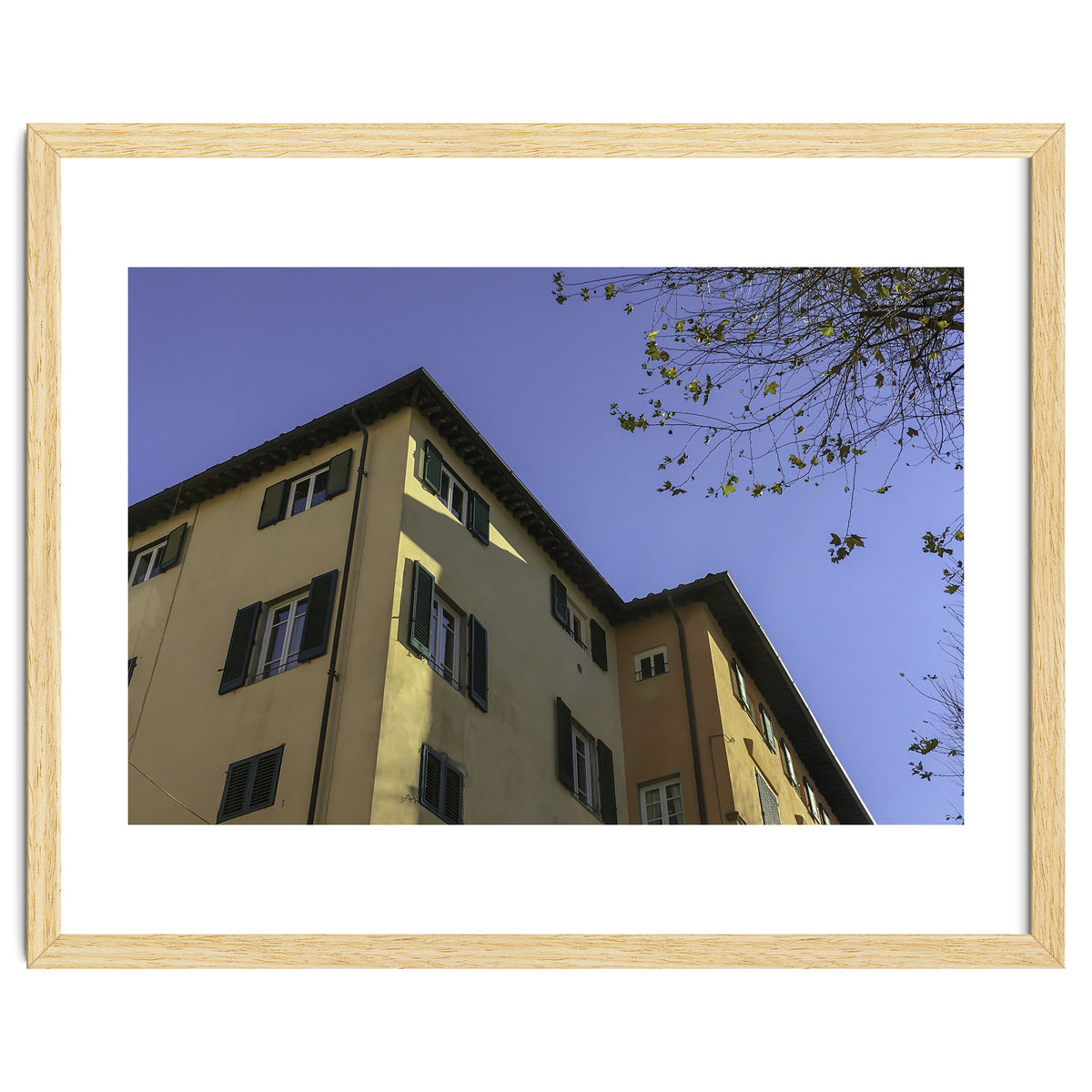 Windows From Tuscany 2