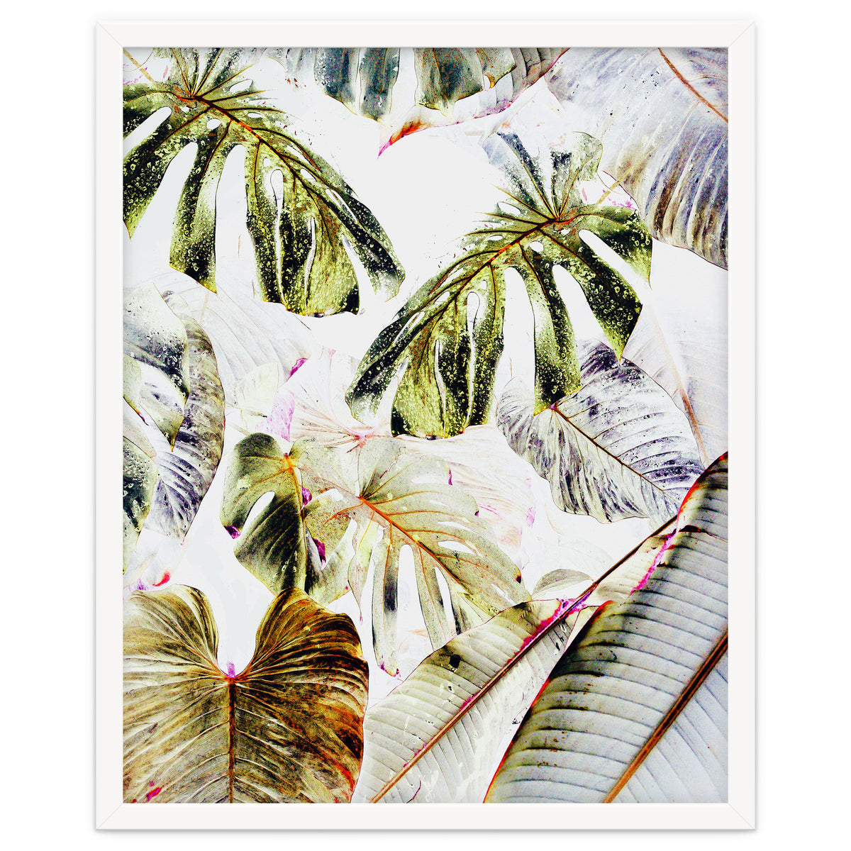 Vintage Tropica