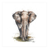 Elephant - Wildlife Collection (Print Only) thumbnail