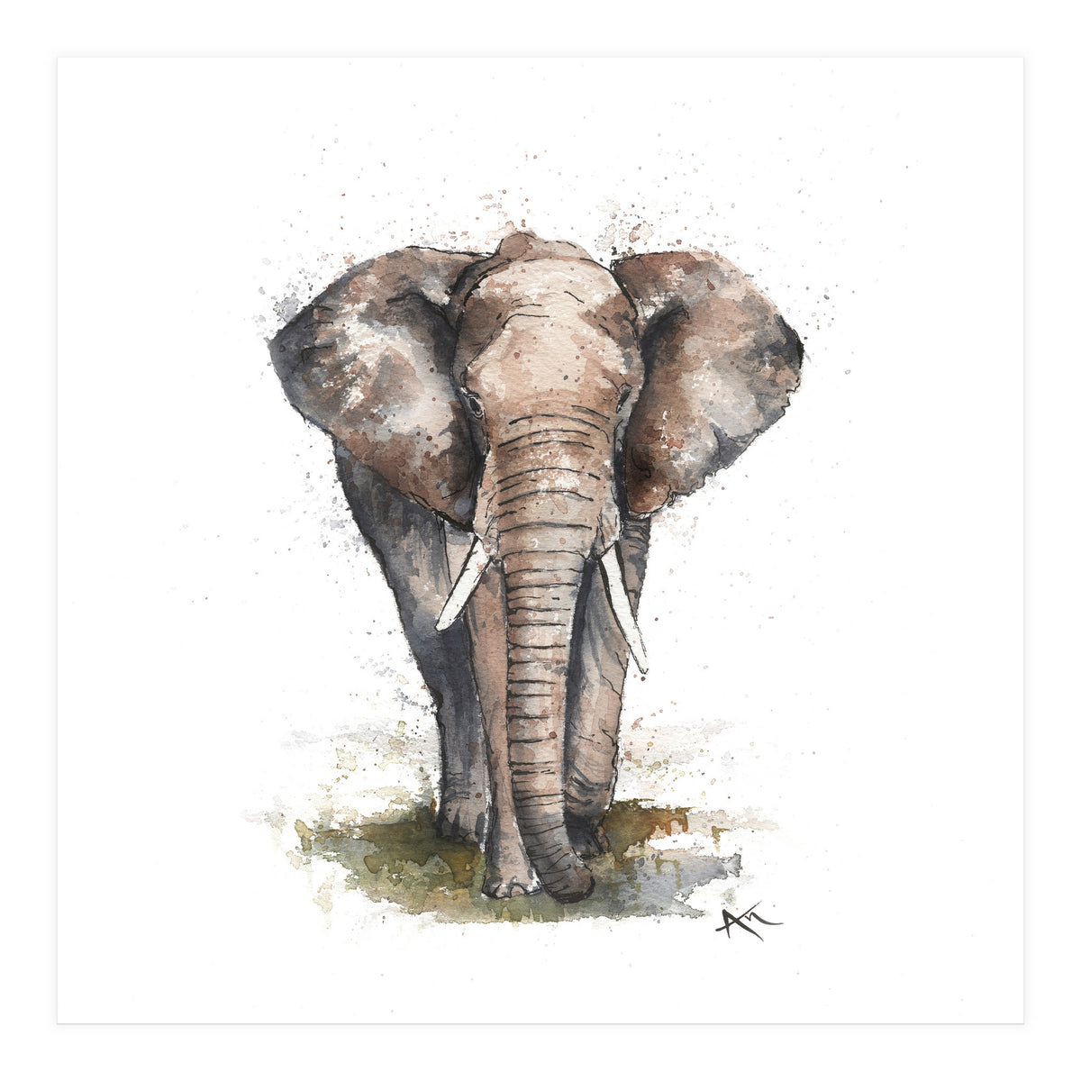 Elephant - Wildlife Collection (Print Only)