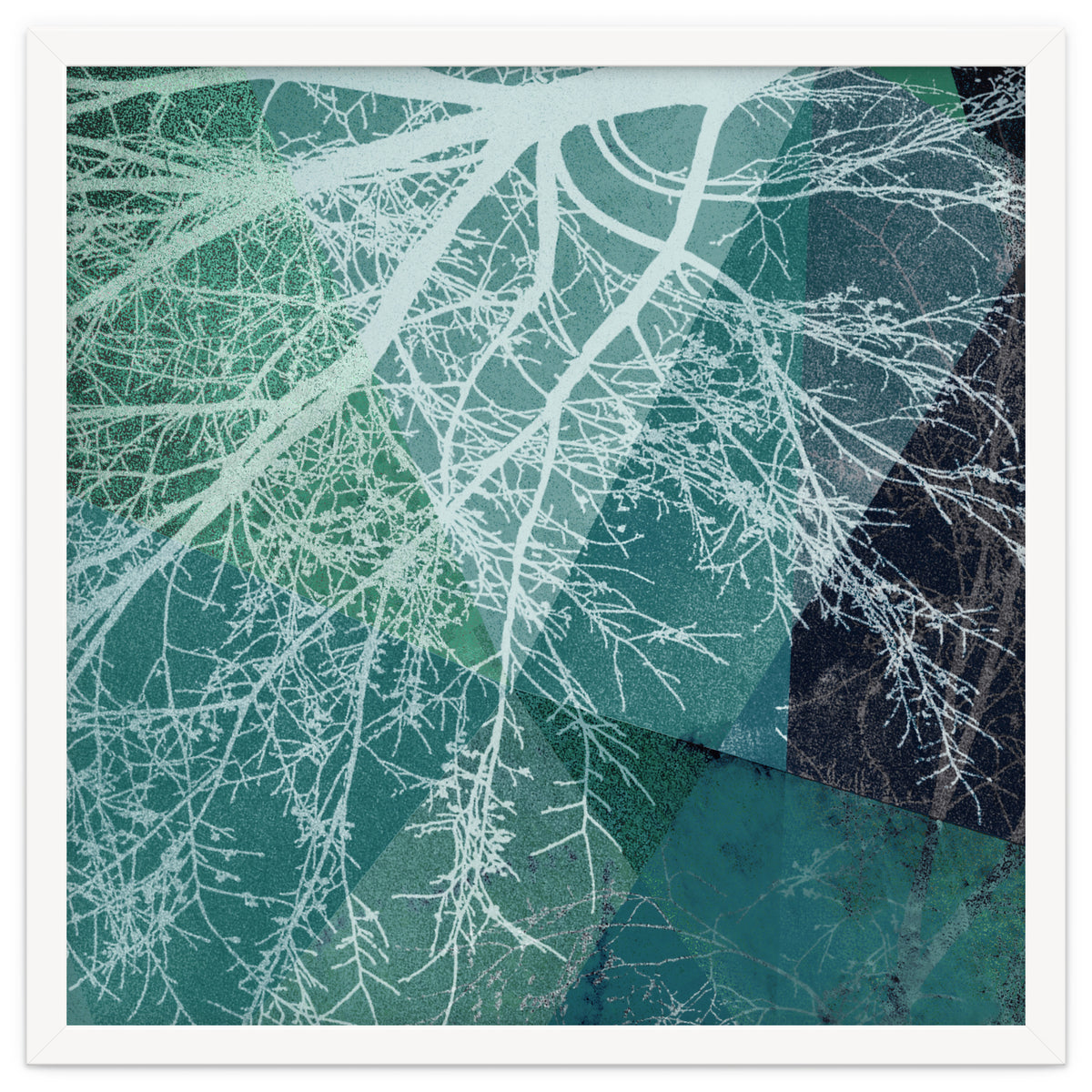 P19-E3 Trees and Triangles