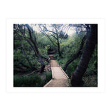 Glen Canyon Park (Print Only) thumbnail