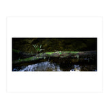 Nature #1 (Print Only) thumbnail