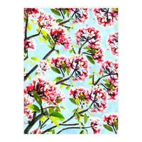 Frangipani (Print Only)